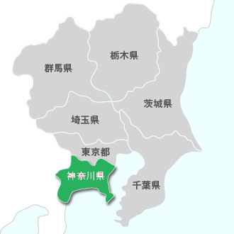 所在城市