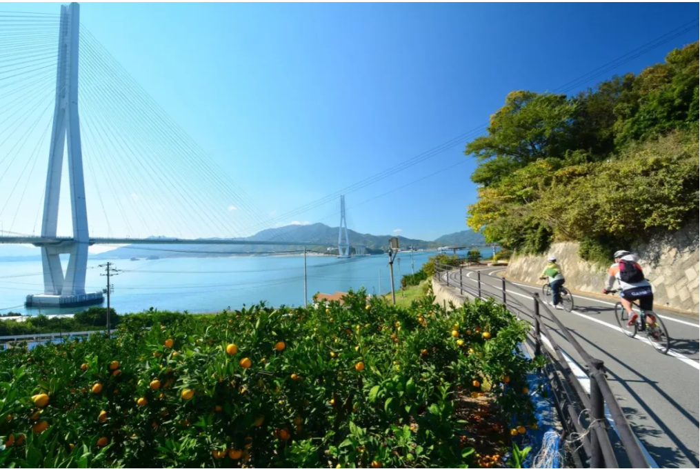 安缦酒店之父操刀改造日本艺术小岛(图3) 1-2105260930042X.png