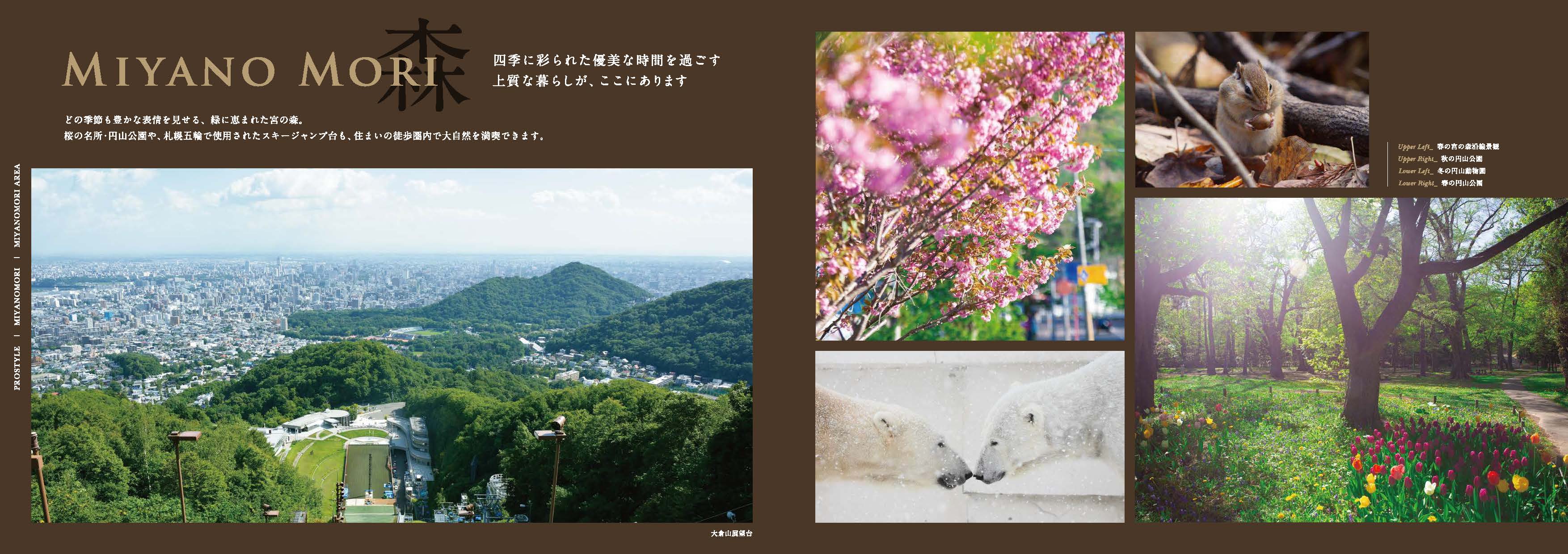 [Professional style] 札幌森之宮(图6)
